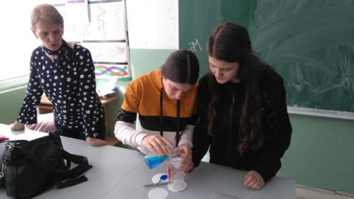 OŠ Braća Labudović Nikšić (4)